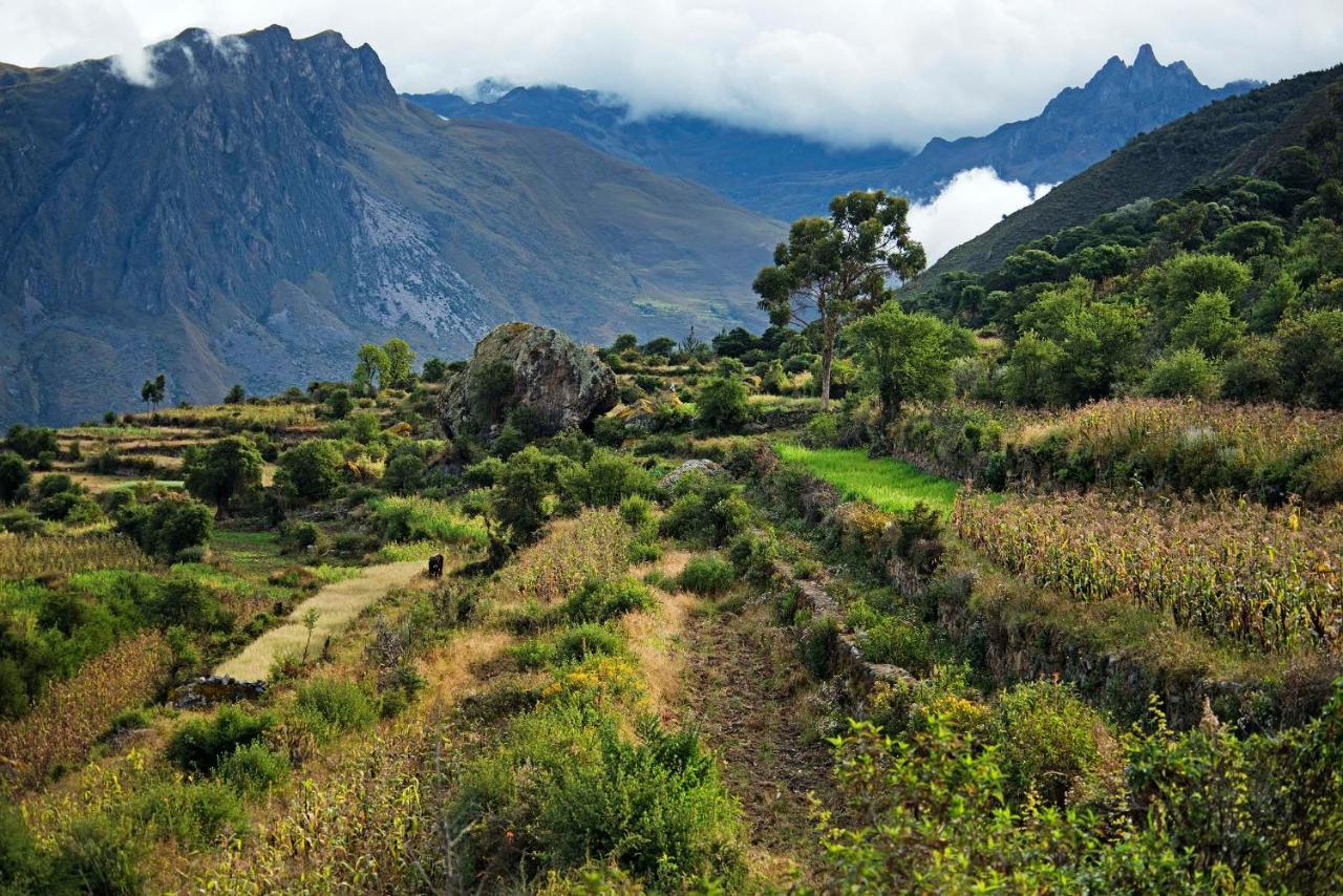 Las Qolqas Ecoresort Ollantaytambo Bagian luar foto